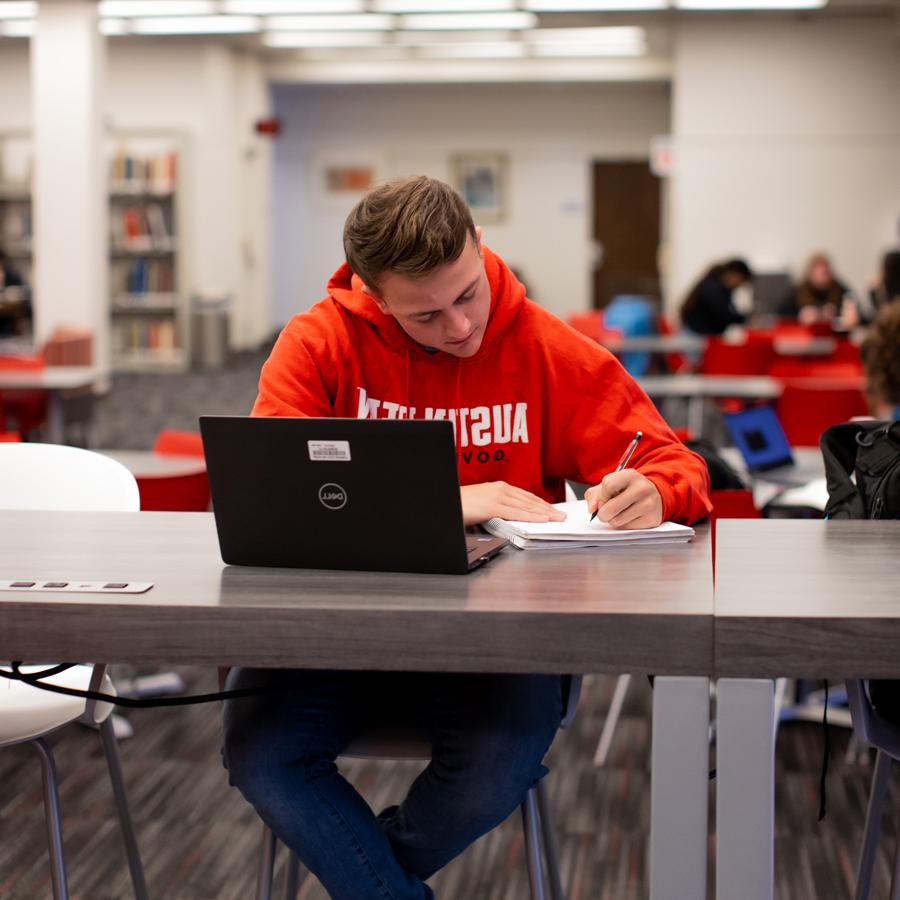 Student working in the library